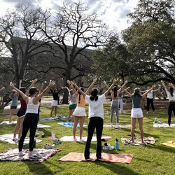 A dozen people doing yoga in a park